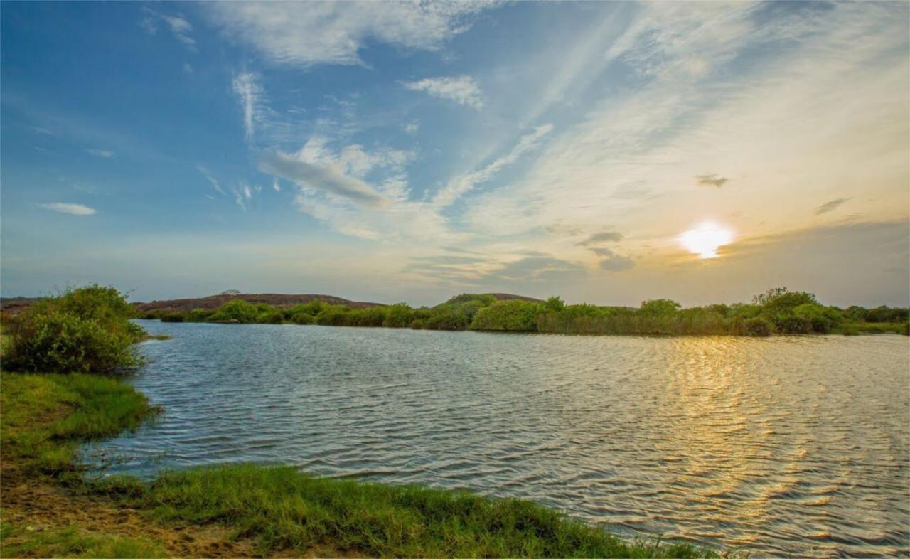 Nikara Nature Resort Arugam Bay Buitenkant foto