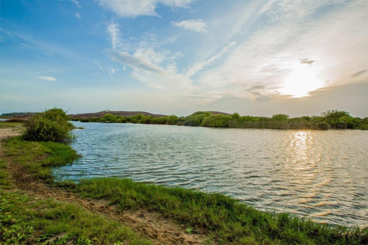 Nikara Nature Resort Arugam Bay Buitenkant foto