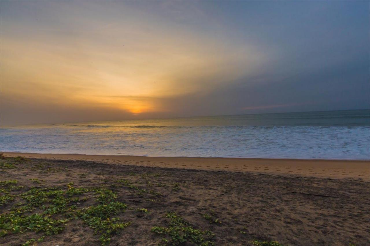 Nikara Nature Resort Arugam Bay Buitenkant foto